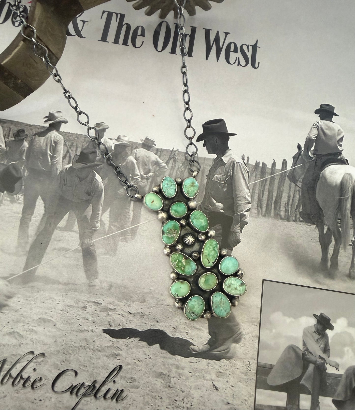 Sheila Tso Royston Cluster