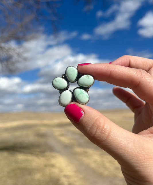 Palomino Circle Cluster