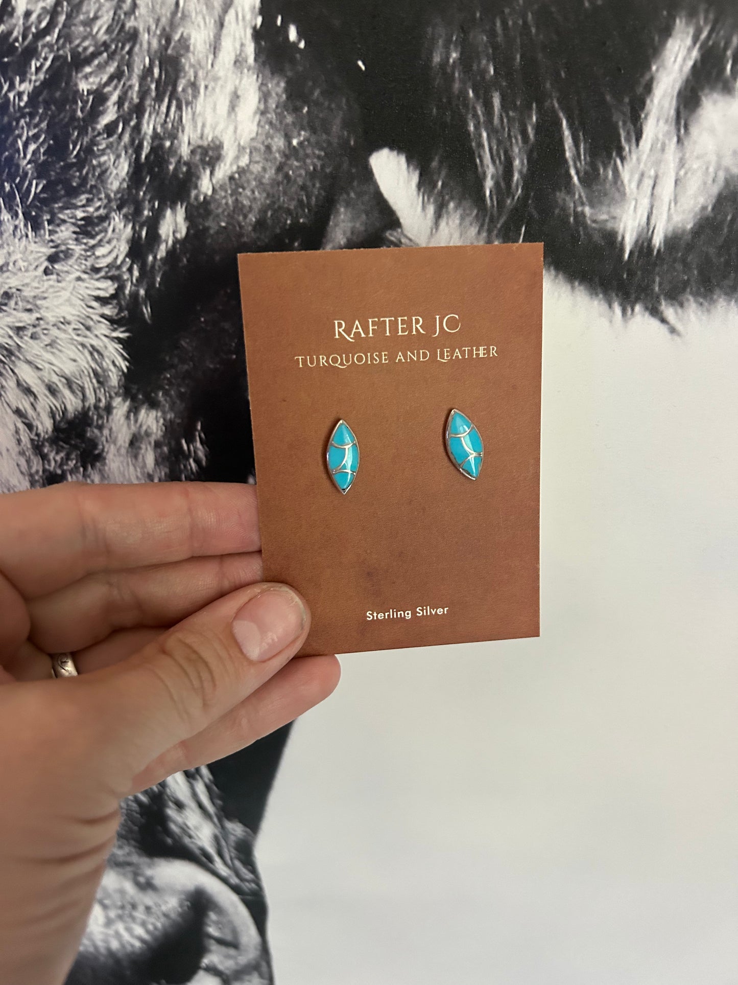 Seedling Turquoise Inlay Earrings