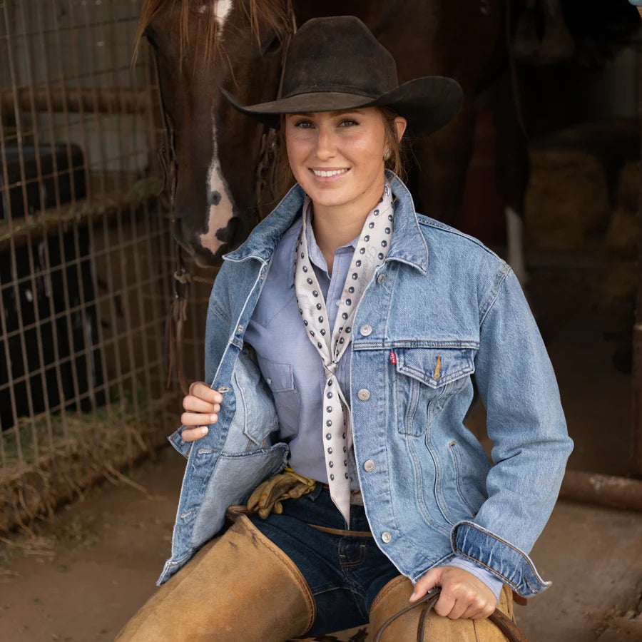 Twilly - Howdy