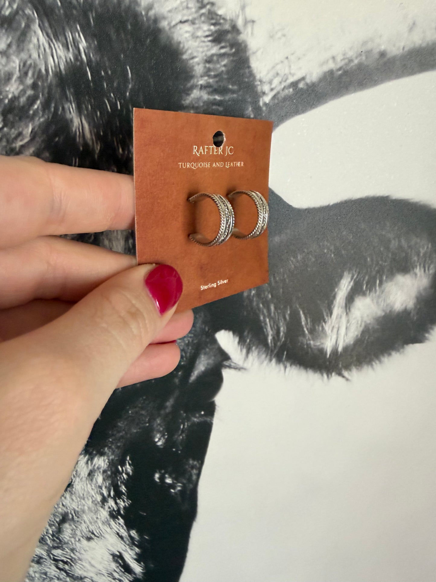 Sterling Rope Mini Hoops