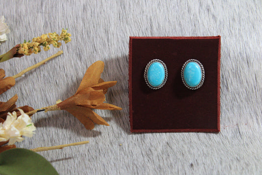 Oval Turquoise Posts